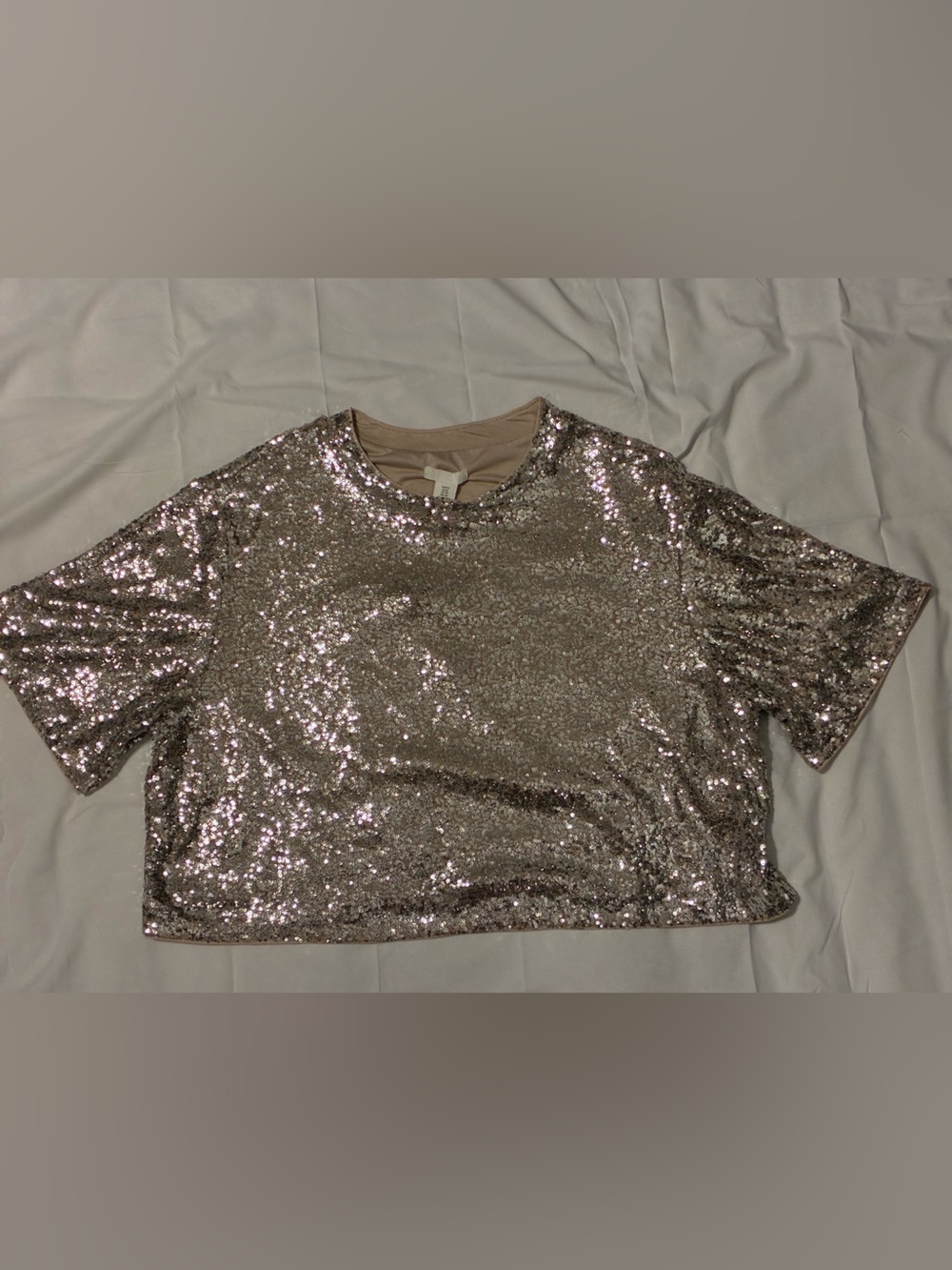 H&M Silver Sequin Crop Top XL